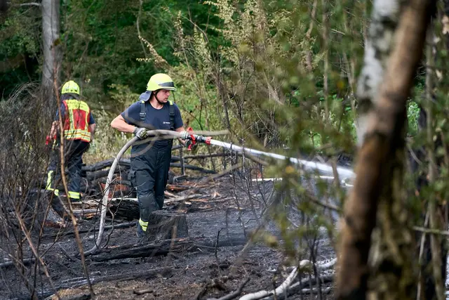 Fast immer verursacht der Mensch einen Waldbrand. (Archivbild) | Foto: Sascha Ditscher/dpa