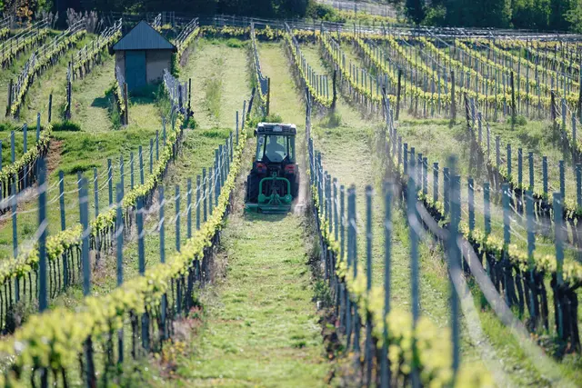 Das Wetter wird sonnig im Südwesten. (Archivbild) | Foto: Uwe Anspach/dpa