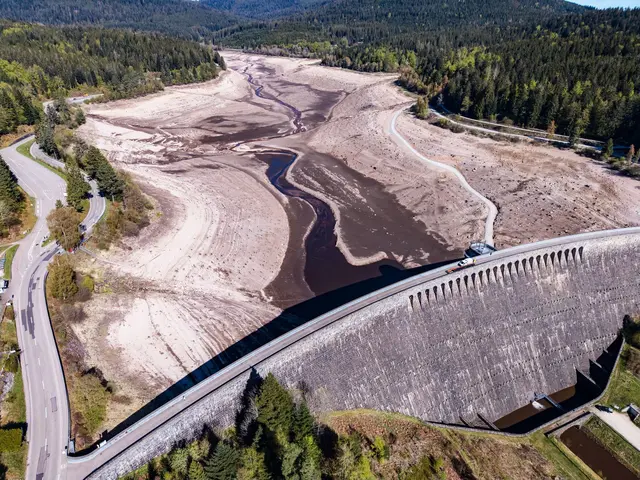 Derzeit ist der Stausee an der Schwarzenbachtalsperre vollständig entleert, damit unter anderem an der Staumauer gearbeitet werden kann. (Archivbild) | Foto: Uli Deck/dpa