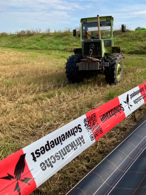 Die Stadt Mannheim erinnert an die weiterhin geltenden Regeln zur Afrikanischen Schweinepest. Dazu zählen Leinenpflicht, Einschränkungen im Wald und hohe Bußgelder bei Verstößen. | Foto: Stadt Mannheim