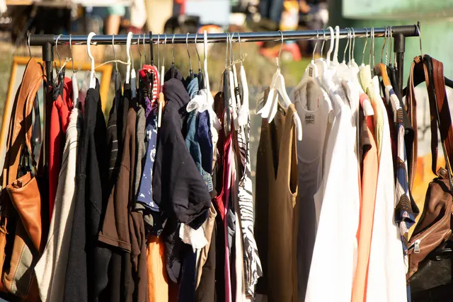 Flohmarkt Germersheim: Auf dem Königsplatz stöbern Menschen an Ständen und entdecken Trödel. Nebenan wechseln Pflanzen für Balkon und Garten den Besitzer. | Foto: Heike Schwitalla