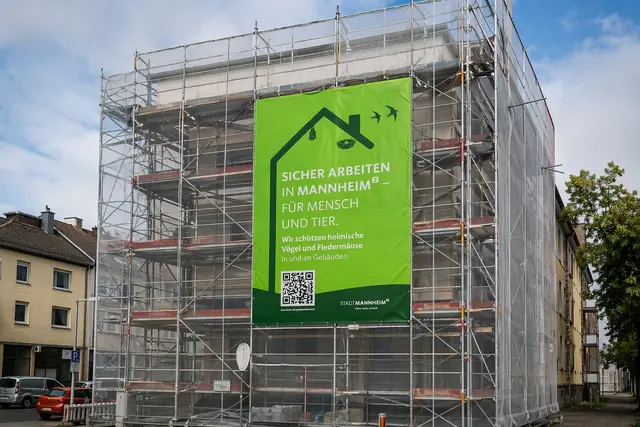 Bei Sanierungen an Dächern und Fassaden in Mannheim können geschützte Vögel und Fledermäuse betroffen sein. Die Stadt informiert über Pflichten, sensible Zeiten und notwendige Schutzmaßnahmen. | Foto: Symbolbild Fassadenbanner - Bild generiert mithilfe von KI. 