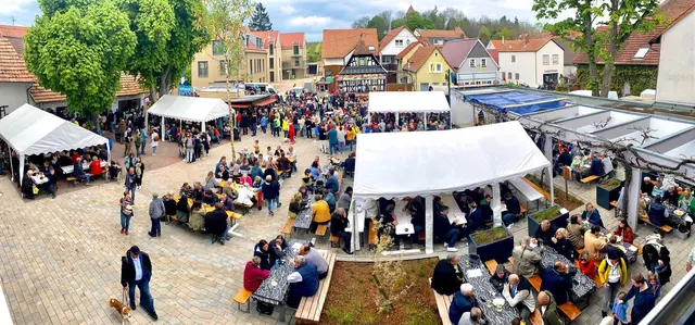 Geselliges Zusammensein, Freude an der Musik und allem Kulinarischen, das ist es, was die Wollmesheimerinnen und - heimer immer wieder zusammenbringt. | Foto: Jana Altschuh