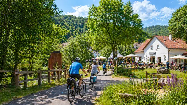 Radfahrer auf einem Radweg im Dahner Felsenland beim Radfest „Radeln grenzenlos“ – Strecke durch grüne Landschaft mit Rastplatz und Gastronomie im Pfälzerwald