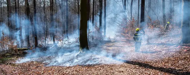 Zwischen Losheim und Mitlosheim ist am Donnerstagabend ein Waldbrand ausgebrochen. Rund 160 Feuerwehrkräfte waren im Einsatz, die Polizei bittet um Hinweise zur Ursache. | Foto: mhp/stock.adobe.com