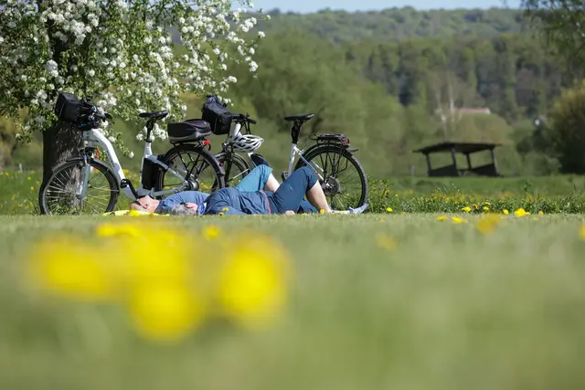 Es geht frühsommerlich weiter in Baden-Württemberg. (Archivbild) | Foto: Thomas Warnack/dpa