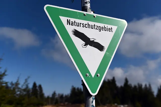 In Naturschutzgebieten wie an der Nahe gelten besondere Regelungen. (Symbolbild) | Foto: Uli Deck/dpa