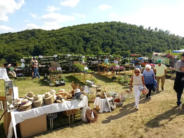 Verschiedene Stände laden zum Bummeln und Kaufen ein | Foto: Anja Stemler