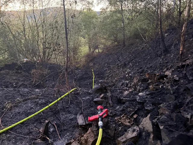 Mehrere kleinere Brände haben Feuerwehr und Polizei in einem Steinbruch bei Pfeffelbach beschäftigt. Die Ermittler gehen derzeit von vorsätzlicher Brandstiftung aus und suchen Zeugen. | Foto: Freiwillige Feuerwehr Verbandsgemeinde Kusel-Altenglan