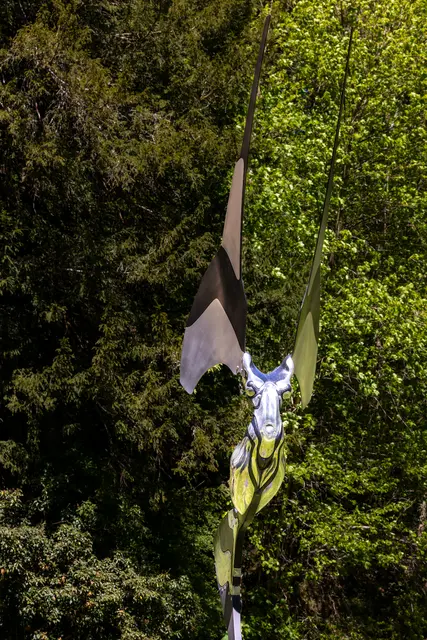 Foto: Johann-Peter Melder