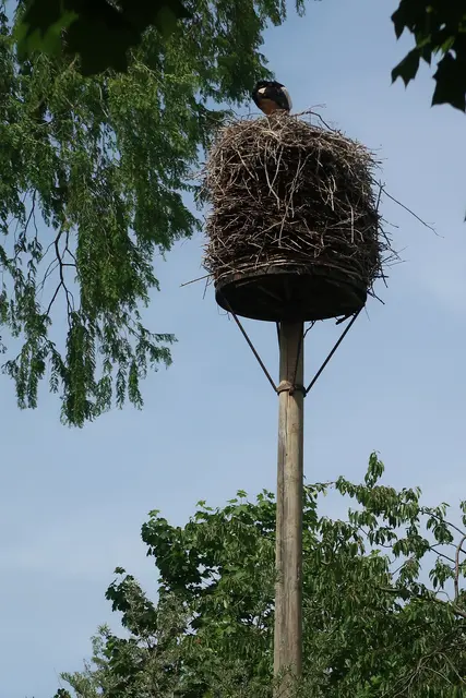 Von dort oben hat man sicherlich einen guten Ausblick.   | Foto: Jennifer Warzecha