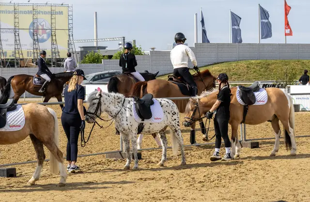 Die Ponys warten  | Foto: Wolfgang Neuberth