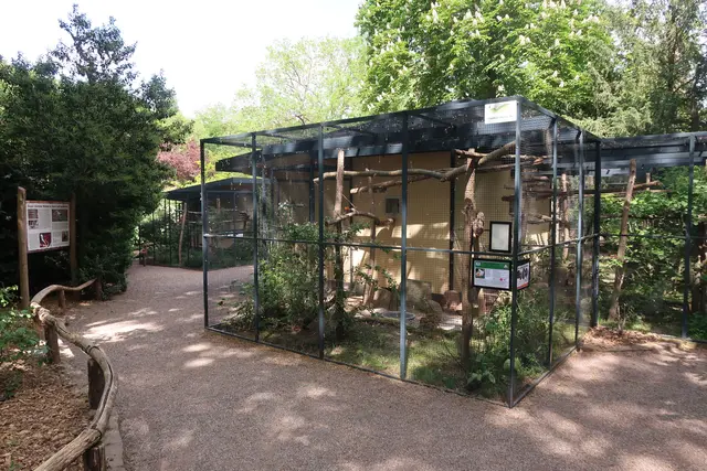 Hier geht es zu vielerlei Vogelarten.  | Foto: Jennifer Warzecha