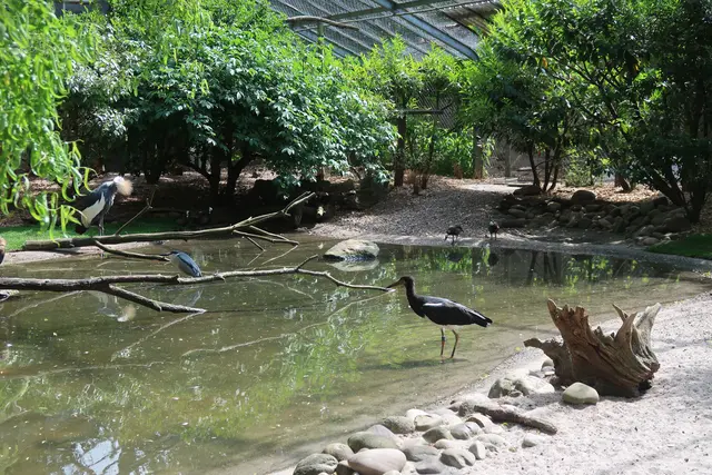 Der perfekte Blick aufs Wasser bietet sich den Enten und anderen Lebewesen, die das Wasser brauchen und mögen hier.  | Foto: Jennifer Warzecha