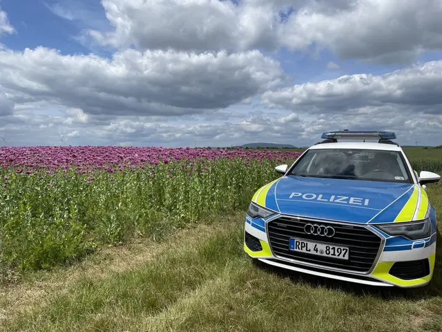 Nach einer Kontrolle auf der L 454 stellte die Polizei einen stark alkoholisierten E-Scooter-Fahrer. Der Mann hatte den Roller gestohlen und leistete bei der Festnahme Widerstand. | Foto: Polizeidirektion Neustadt/Weinstraße
