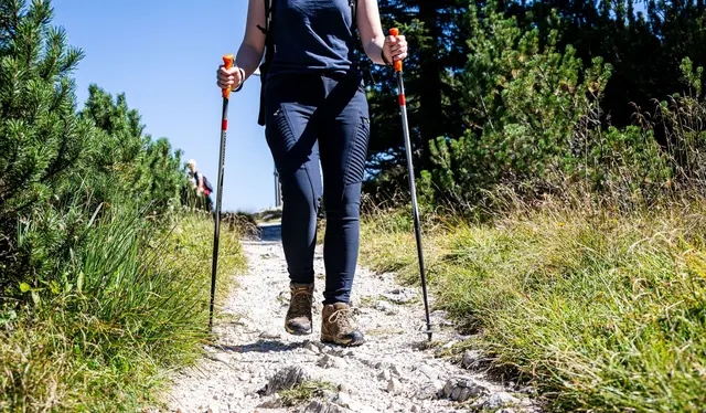 Wanderstöcke: mehr Halt, weniger Knie-Zoff. Wer oft in bergigem Gelände unterwegs ist, fährt mit verstellbaren Stöcken besser. (zu dpa: «Darauf kommt es bei Wanderstöcken wirklich an») | Foto: dpa