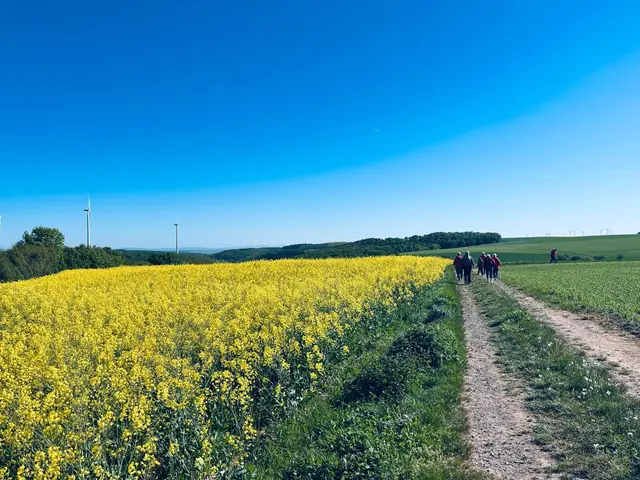 Vorwanderung zum 43. IVV-Wanderung in Kriegsfeld | Foto: Ute Juric