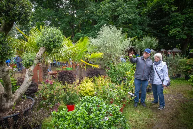 So schön waren die Bellheimer Gartentage 2025 - Pflanzen und vieles mehr für den eigenen Garten | Foto: Paul Needham