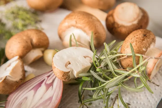 Roh in den Salat? Kulturpilze wie Champignons können roh gegessen werden – Wildpilze sollte man dagegen immer erhitzen.  | Foto: dpa