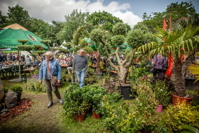 So schön waren die Bellheimer Gartentage 2025 - Pflanzen und vieles mehr für den eigenen Garten | Foto: Paul Needham