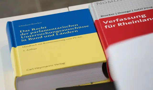 Untersuchungsausschüsse gelten als das schärfste Schwert der Opposition.  | Foto: Frank Rumpenhorst/dpa