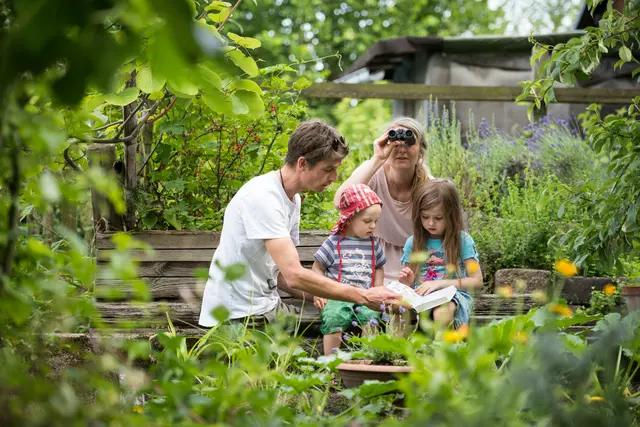 Die Teilnahme an der "Stunde der Gartenvögel" ist gerade für Kinder ein spannendes Erlebnis. | Foto: NABU/Sebastian Hennigs