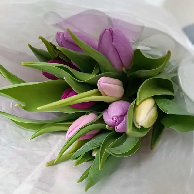 Muttertag: Meist gibt es Blumen - wie wäre es mit einem Konflikt? | Foto: Heike Schwitalla