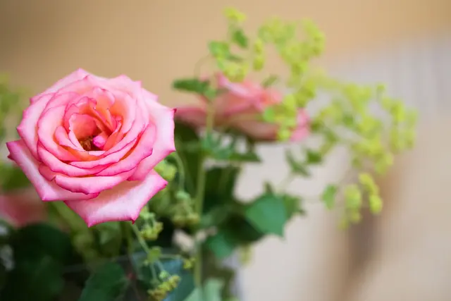 Blumenstrauß als Aufmerksamkeit: Für Pollenallergiker sind Sorten wie Rosen geeignet. | Foto: dpa