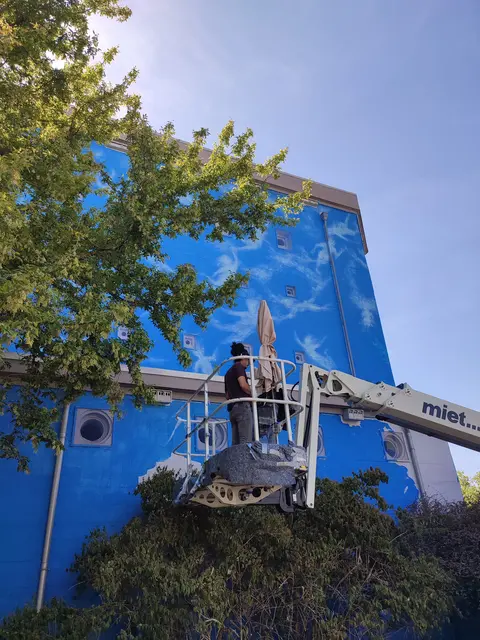 Bei einer geführten Bustour lassen sich Street-Art-Wandbilder in Ludwigshafen gezielt ansteuern und in Ruhe anschauen. Hier DALeast bei der Arbeit in der Brunkstraße  | Foto: QUAER/Delia Rothas / ps