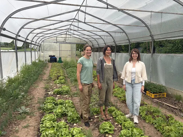 v.l.n.r.: Martina Braun, Sonja Tomov, Bürgermeisterin Katharina Kimmich | Foto: Gemeinde Ubstadt-Weiher
