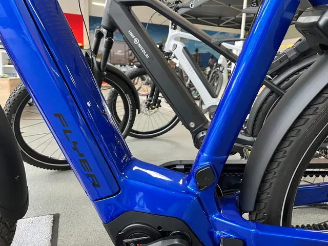 FLYER Premium-E-Bikes überzeugen mit hochwertiger Ausstattung, starkem Fahrkomfort und großer Reichweite | Foto: eBike Store Kaiserslautern