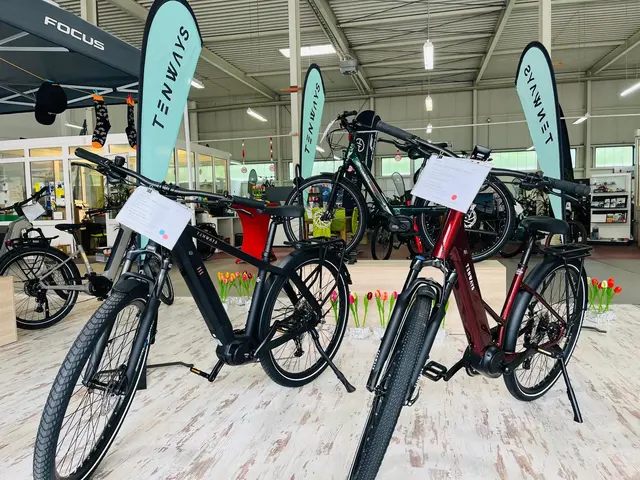 Günstige E-Bikes kaufen leicht gemacht: TENWAYS steht für moderne E-Mobilität zum attraktiven Einstiegspreis | Foto: eBike Store Kaiserslautern