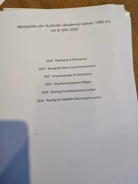 Verkostungsliste für die Ruländer-Akademie | Foto: Gabriele Roth-Dietrich