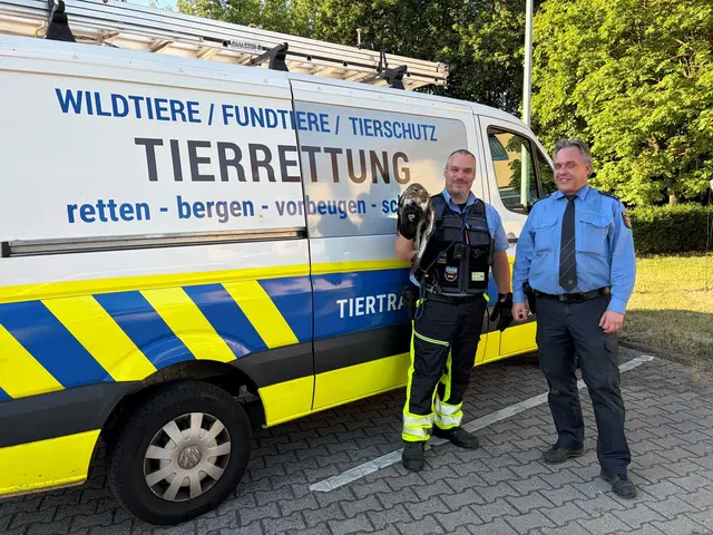 Ein verletzter Bussard saß auf dem Standstreifen der A65 und konnte sich kaum bewegen. Polizei und Tierrettung brachten den Greifvogel schließlich in eine Auffangstation nach Haßloch. | Foto: Polizeidirektion Neustadt/Weinstraße