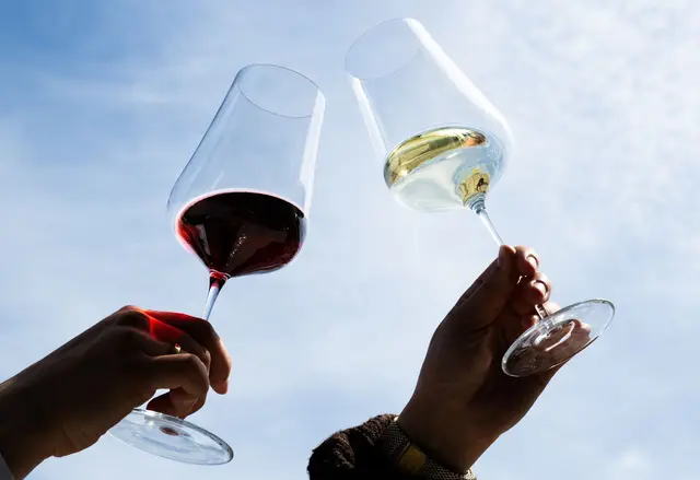 Rot oder weiß? Weltweit steigt eher Weißwein in der Gunst der Weintrinker. (Symbolbild) | Foto: Boris Roessler/dpa