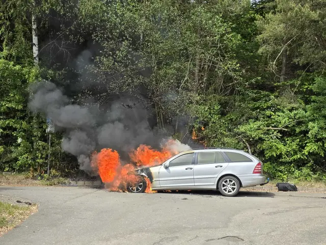 Ein Mercedes geriet während der Fahrt auf der B10 bei Pirmasens in Brand. Der 86-jährige Fahrer konnte sich rechtzeitig retten, am Fahrzeug entstand Totalschaden. | Foto: Polizeidirektion Pirmasens