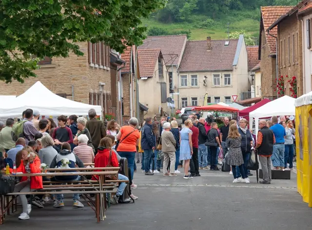 Pfingsten naht und damit auch die beliebte Veranstaltung „Erlebnisreise Moscheltal“ | Foto: VG Nordpfälzer Land/gratis
