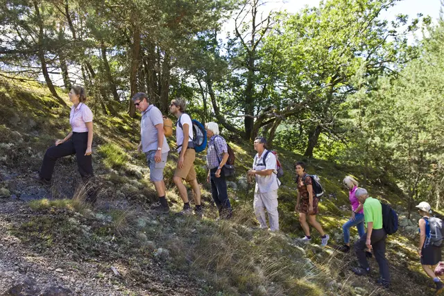 Foto: Donnersberg-Touristik-Verband e.V./gratis