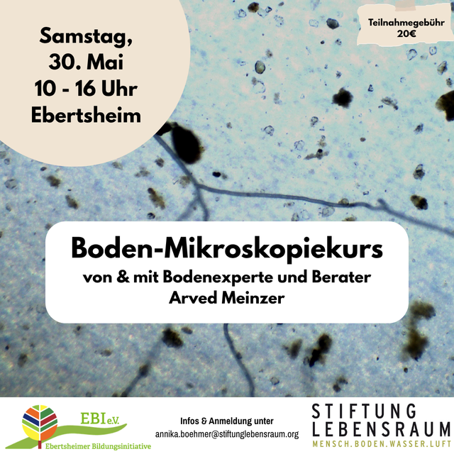 Foto: Annika Böhmer
