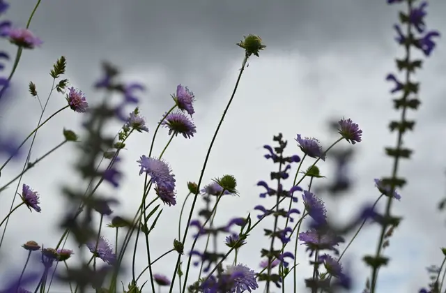 Es wird grau und kalt im Südwesten.  | Foto: Katharina Kausche/dpa
