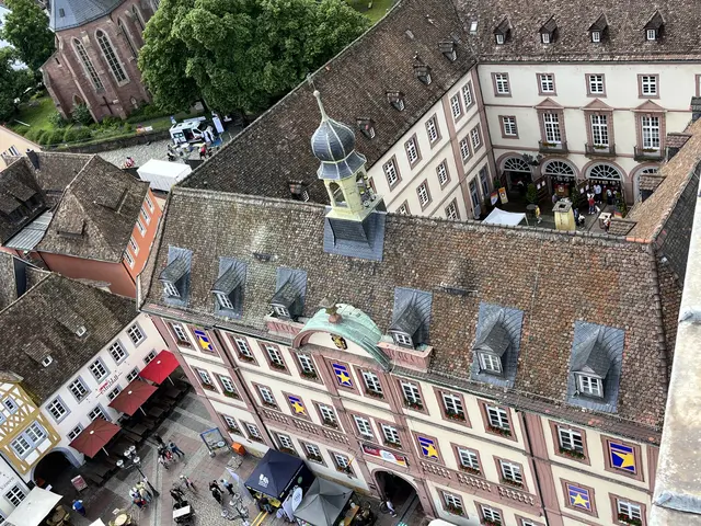Unter dem Motto „Freiheit pflanzen“ lädt das Demokratiefest 2026 zu drei Tagen voller Kultur, Austausch und Begegnungen nach Neustadt ein. | Foto: Stadt Neustadt