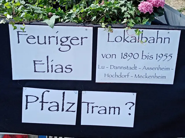 Foto: Gunter Bohrer