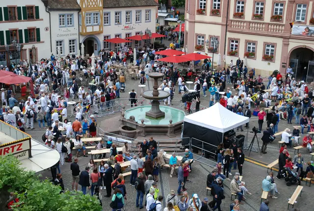 Tausende Besucher werden beim Demokratiefest 2026 in Neustadt erwartet – mit Programm in der Innenstadt und am Hambacher Schloss. | Foto: Markus Pacher