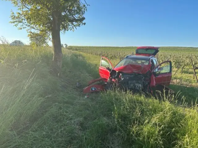 Nach einem schweren Unfall auf der L554 bei Rohrbach musste eine 22‑jährige Autofahrerin mit dem Rettungshubschrauber ins Krankenhaus gebracht werden. Ihr Wagen war gegen einen Baum geprallt und hatte kurzzeitig gebrannt. | Foto: Polizeidirektion Landau