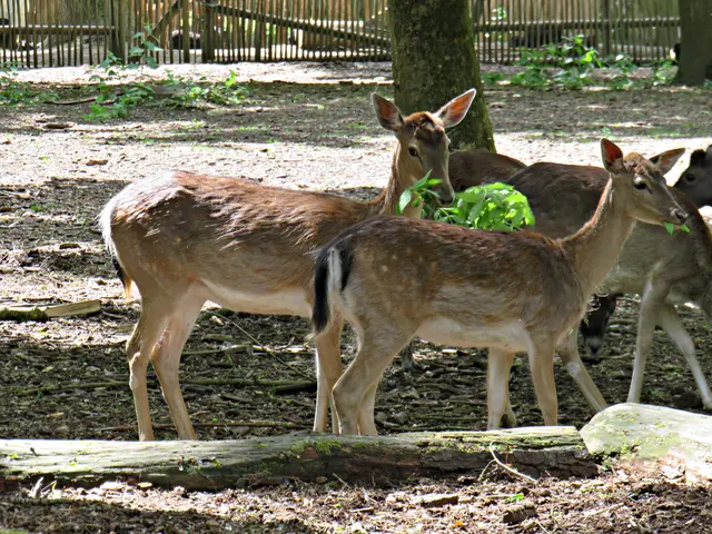 Foto: Brigitte Melder