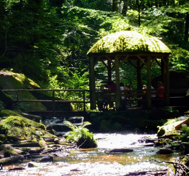 Karlstalschlucht, Natur pur | Foto: Heinrich Schneider