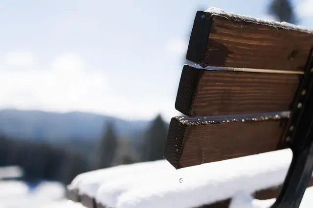 Die sogenannten Eisheiligen hatten sogar Schnee für den Schwarzwald im Programm.  | Foto: Philipp von Ditfurth/dpa