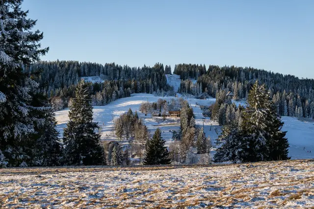 Im Hochschwarzwald ist ein wenig Neuschnee gefallen. (Symbolbild) | Foto: Silas Stein/dpa