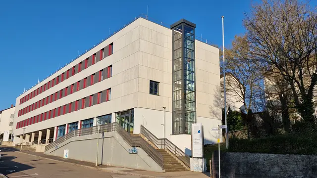 Informationen des Gesundheitsamts Kaiserslautern zum Hantavirus | Foto: Ralf Vester