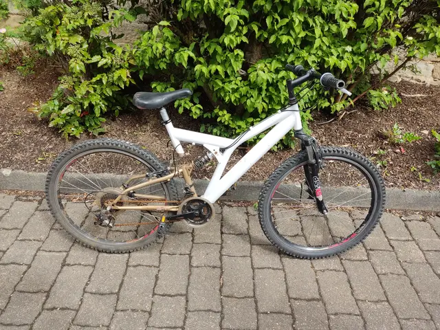 Die Polizei stellte in der Kirner Innenstadt ein weiß-goldenes 26-Zoll-Mountainbike sicher. Nun suchen die Beamten den rechtmäßigen Eigentümer des vermutlich gestohlenen Fahrrads. | Foto: Polizeiinspektion Kirn